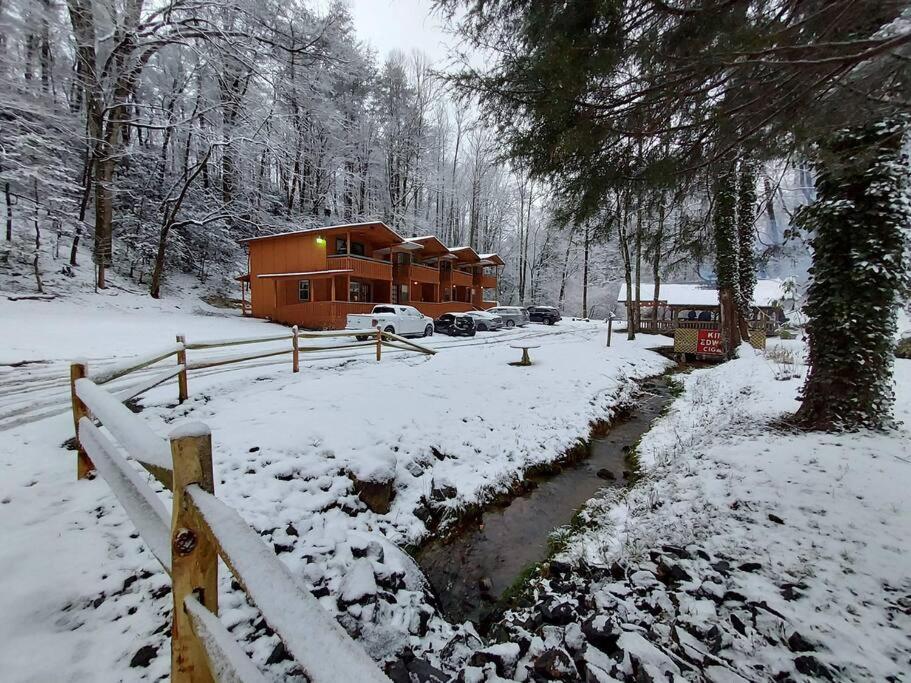 Cute Cabin Creek & Firepit #12 Хелен Экстерьер фото